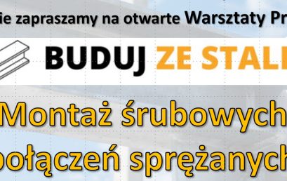 Warsztaty Buduj ze stali, 16.12, piątek, g. 8:30-10